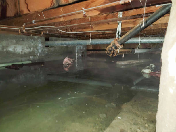 Best Water damage cleanup near me  in North Babylon, NY