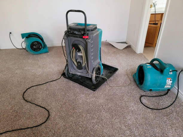 Best Water damage contractors near me  in North Babylon, NY