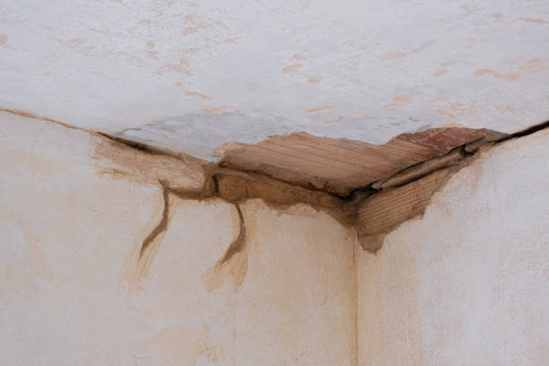 Best Mold removal after water damage  in North Babylon, NY