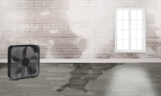 Best Ceiling water damage repair  in North Babylon, NY
