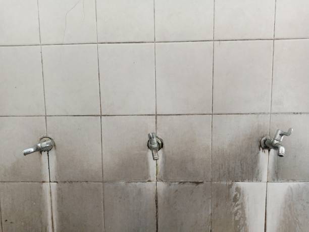Best Flood restoration services  in North Babylon, NY