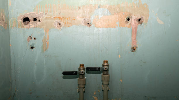 Best Water damage contractors near me  in North Babylon, NY