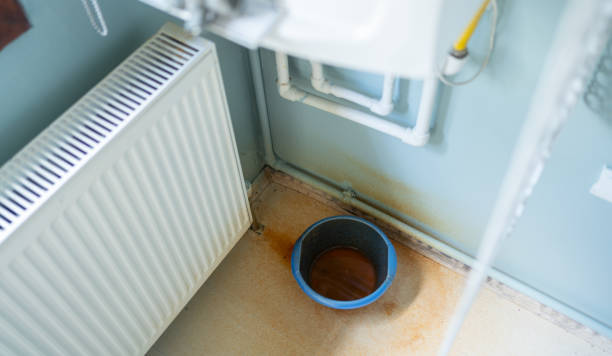 Best Carpet water damage restoration  in North Babylon, NY