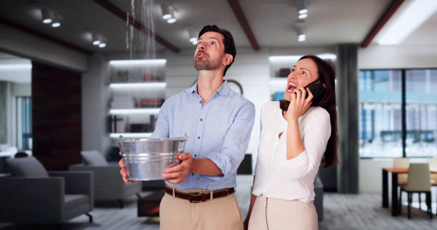 Best 24-hour water damage restoration  in North Babylon, NY
