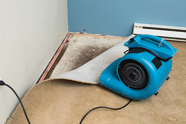 Best Professional water damage repair  in North Babylon, NY